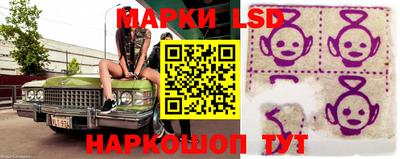 ГАЛЛЮЦИНОГЕННЫЕ ГРИБЫ Донской